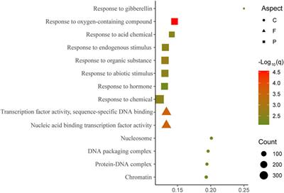 Asymmetric Divergence in Transmitted SNPs of DNA Replication/Transcription and Their Impact on Gene Expression in Polyploid Brassica napus